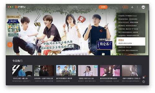 看电视剧的网站,电视剧网站带你领略经典爱情故事