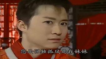 金蚕丝雨电视剧全集56,揭秘神秘宝藏，命运转折点揭晓