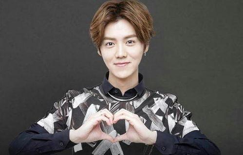 娱乐圈吃瓜鹅鹿晗,娱乐圈吃瓜鹅的蜕变之路  第2张